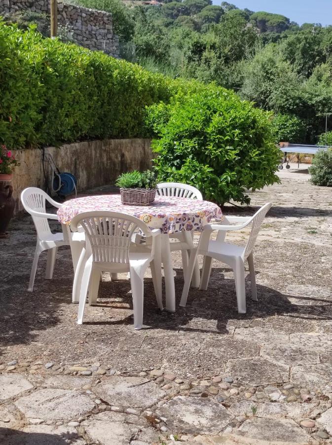 Villa Bouganvilla Cefalù Exteriör bild
